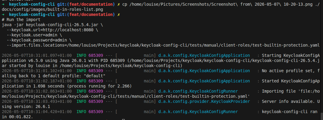CLI logs showing protected roles being skipped