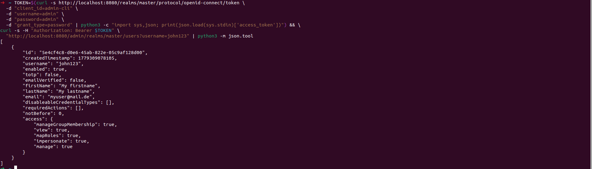 Verify user john123 created via Keycloak API